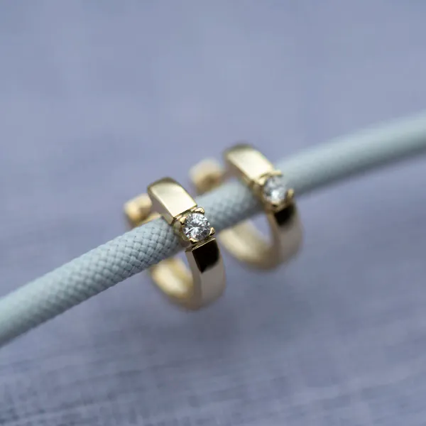 Hovedbilde Pan Jewelry øreringer i forgylt sølv med zirkonia