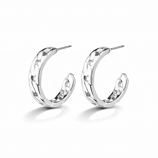 Hovedbilde PILGRIM HOPE ørepynt, sølvbelagt- Ø24mm